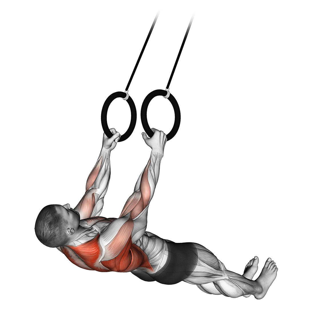 Suspended Row demonstration