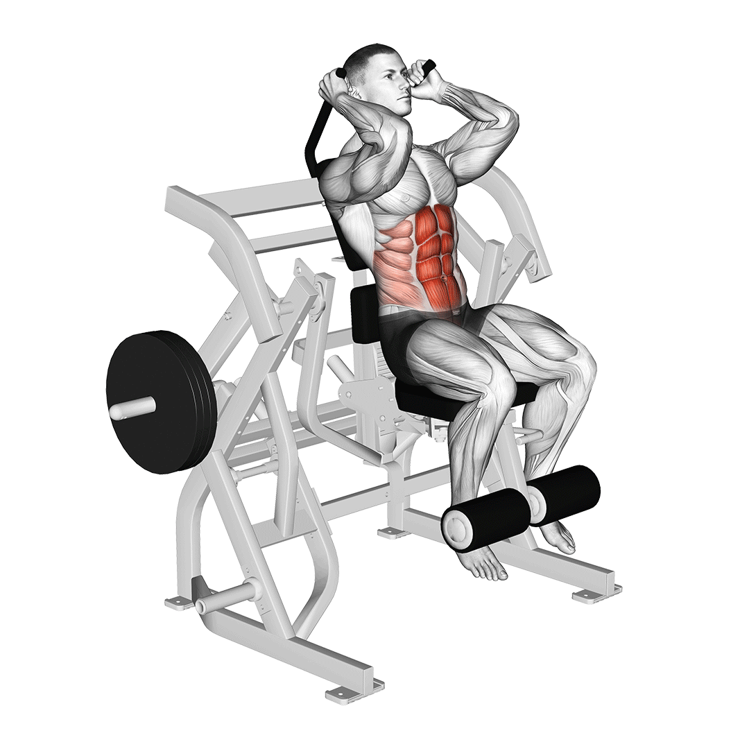 Machine Seated Leg Raise Crunch demonstration