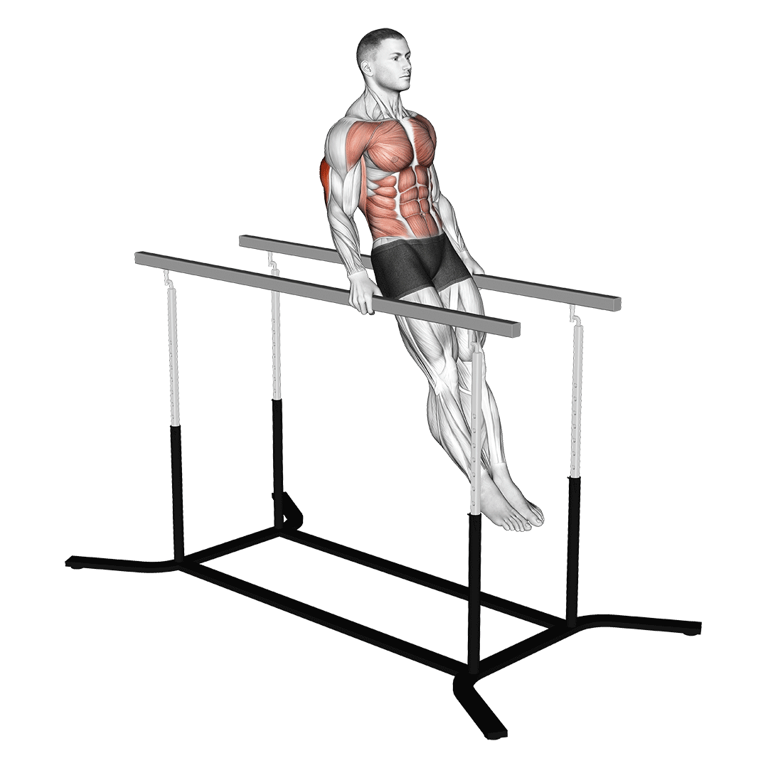 Advanced Dips demonstration