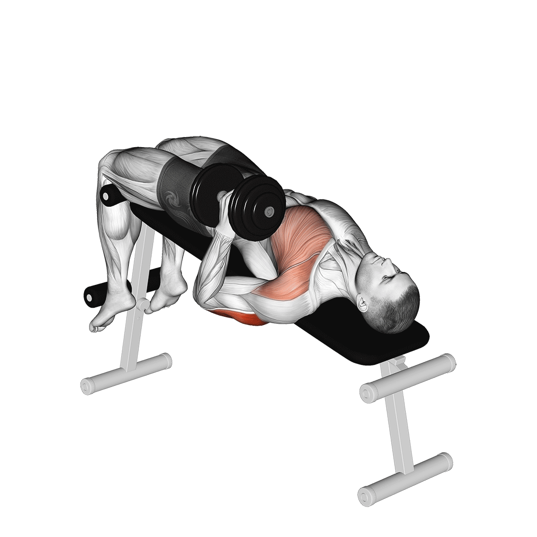 Dumbbell Decline One Arm Hammer Press demonstration