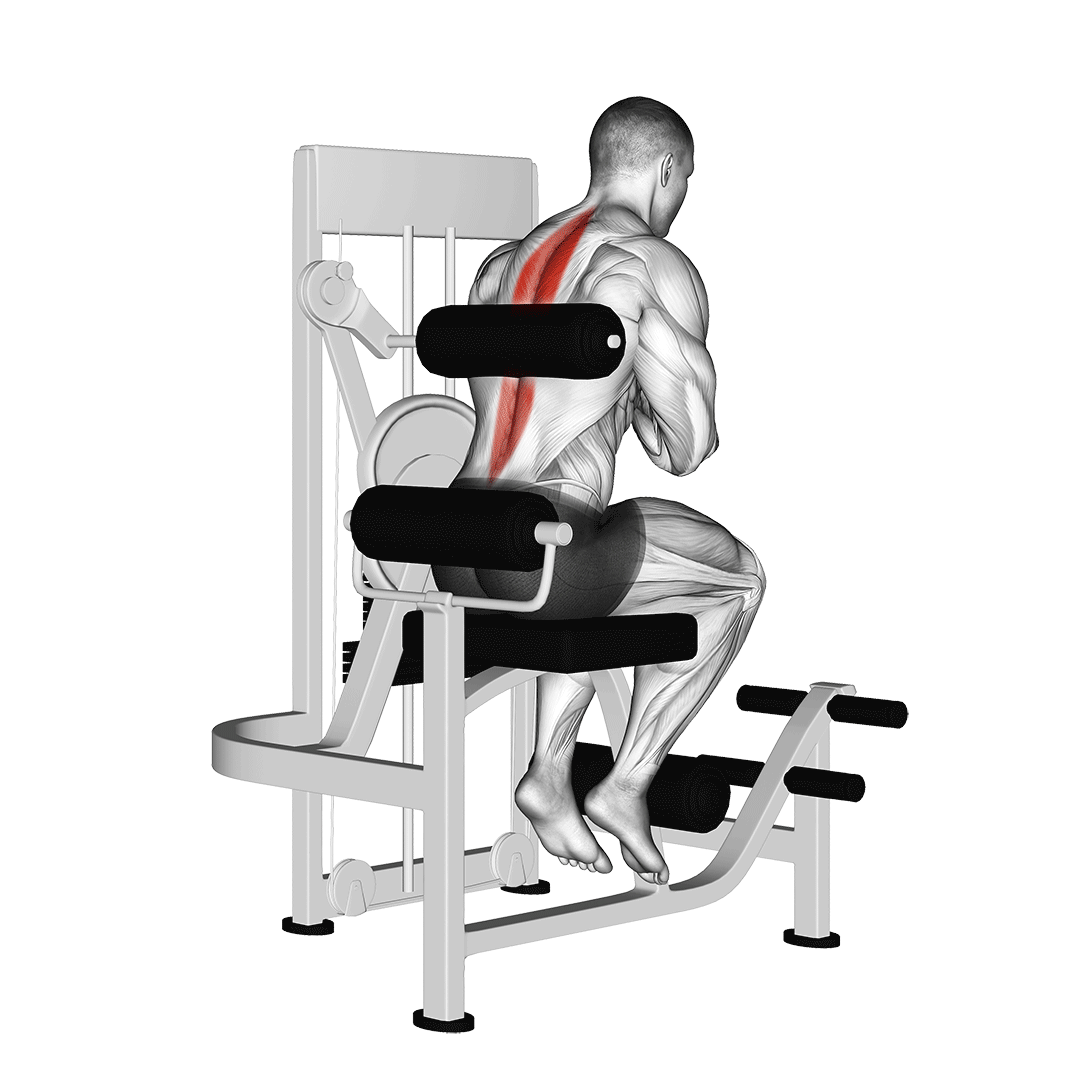 Machine Back Extension demonstration