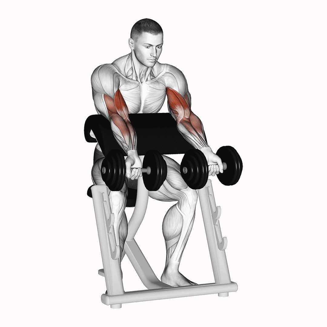 Dumbbell Zottman Preacher Curl demonstration
