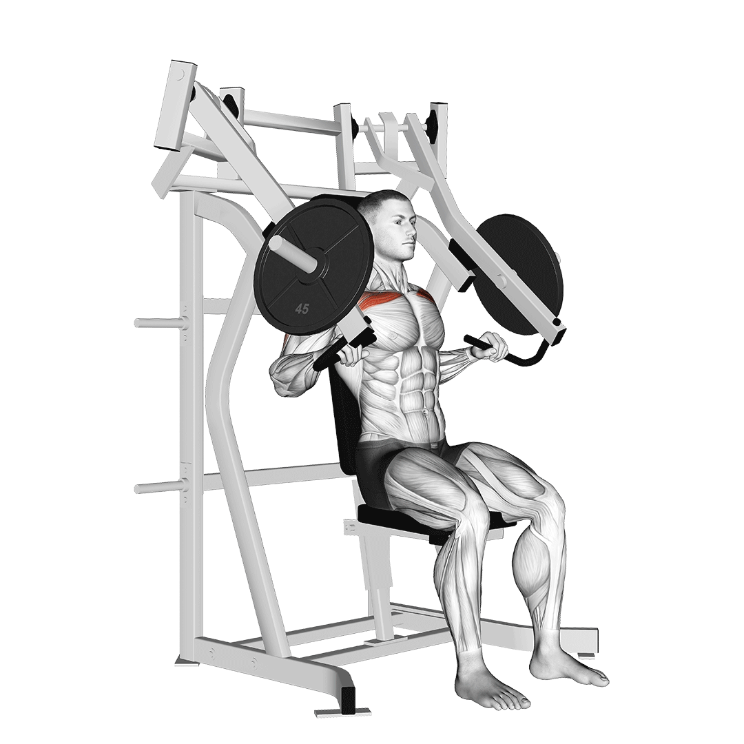 Machine Incline Chest Press demonstration