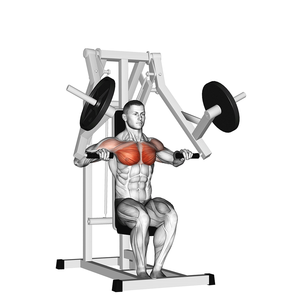 Chest Press Machine demonstration