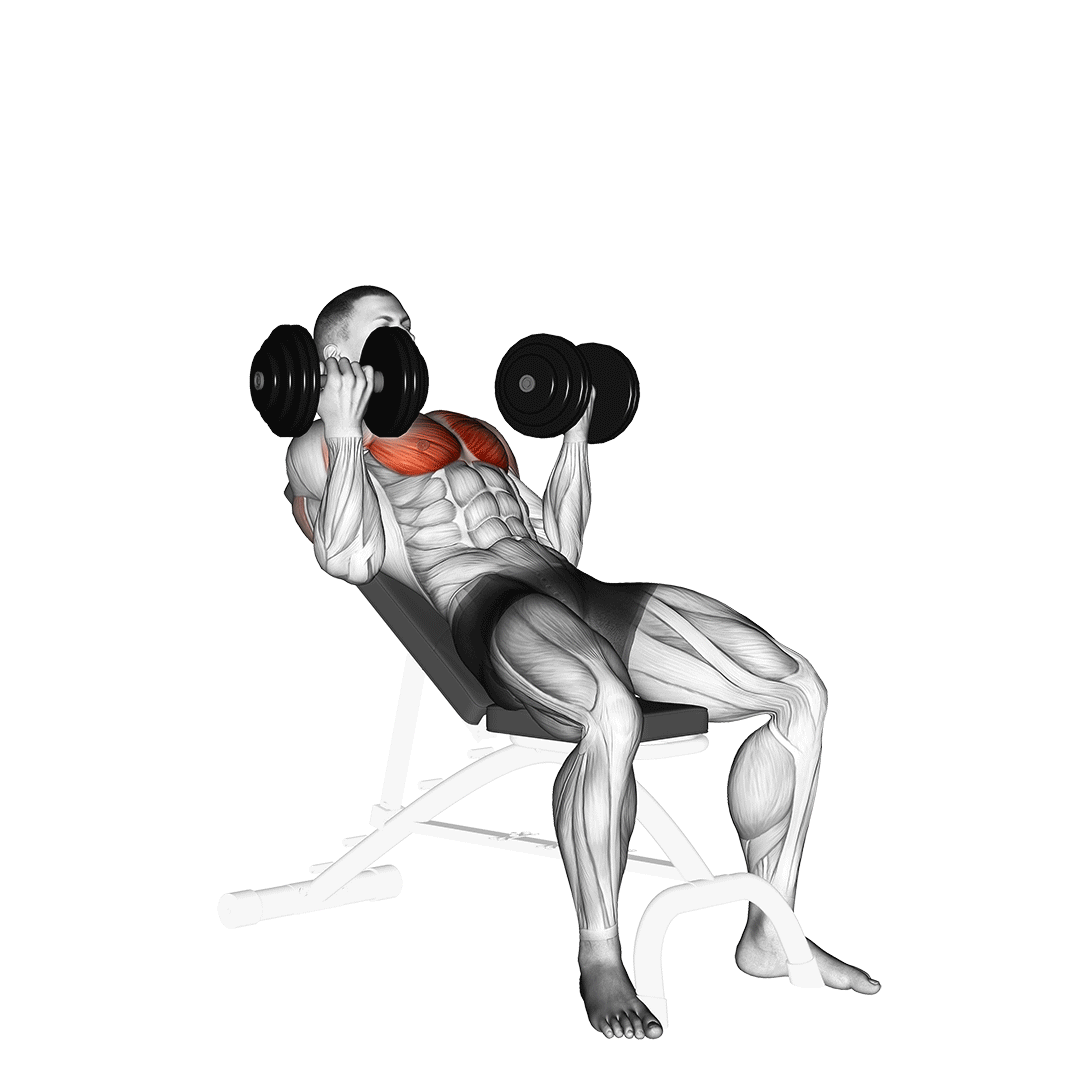 Dumbbell Incline Palm-In Press demonstration