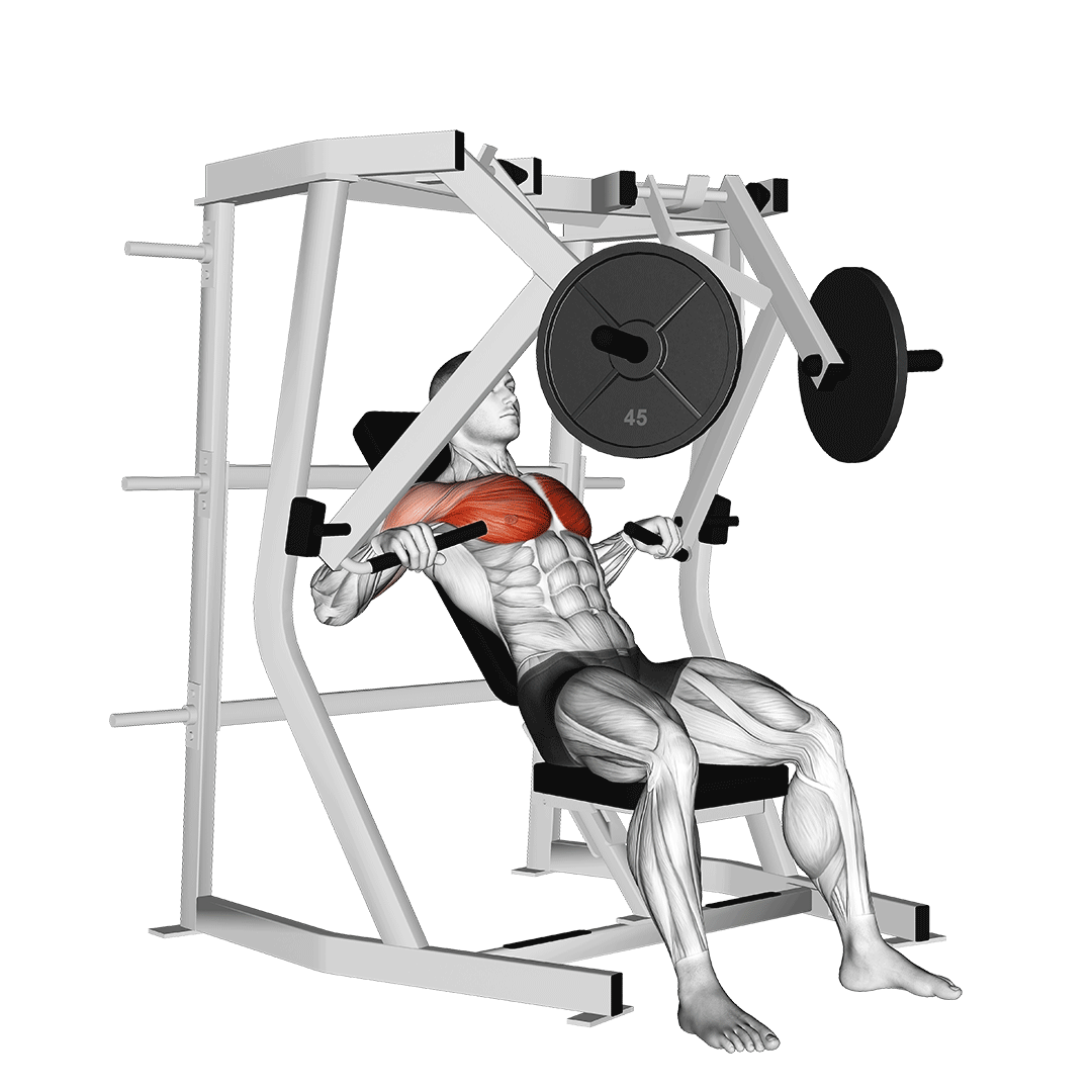 Machine Decline Chest Press demonstration