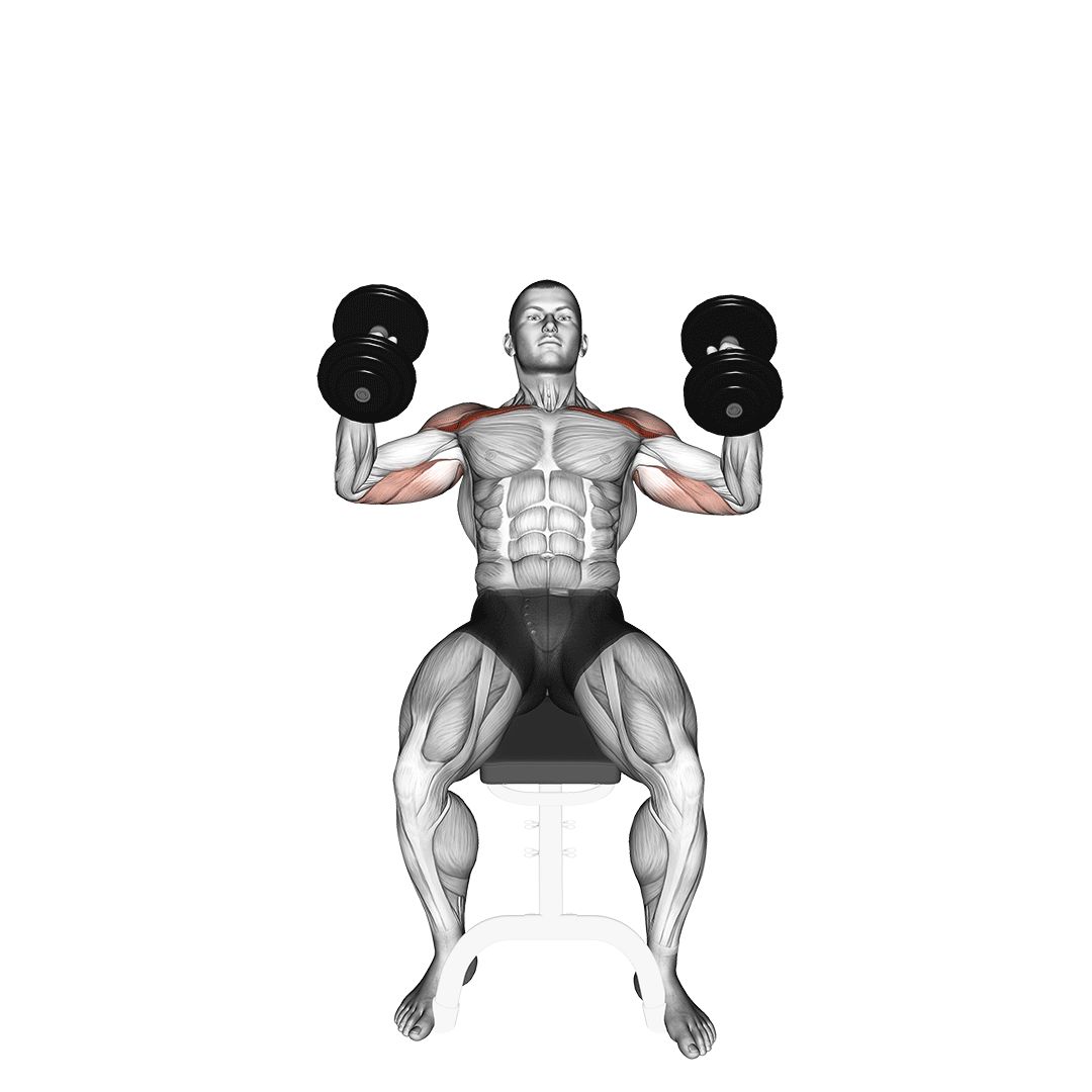 Dumbbell Incline Hammer Press demonstration