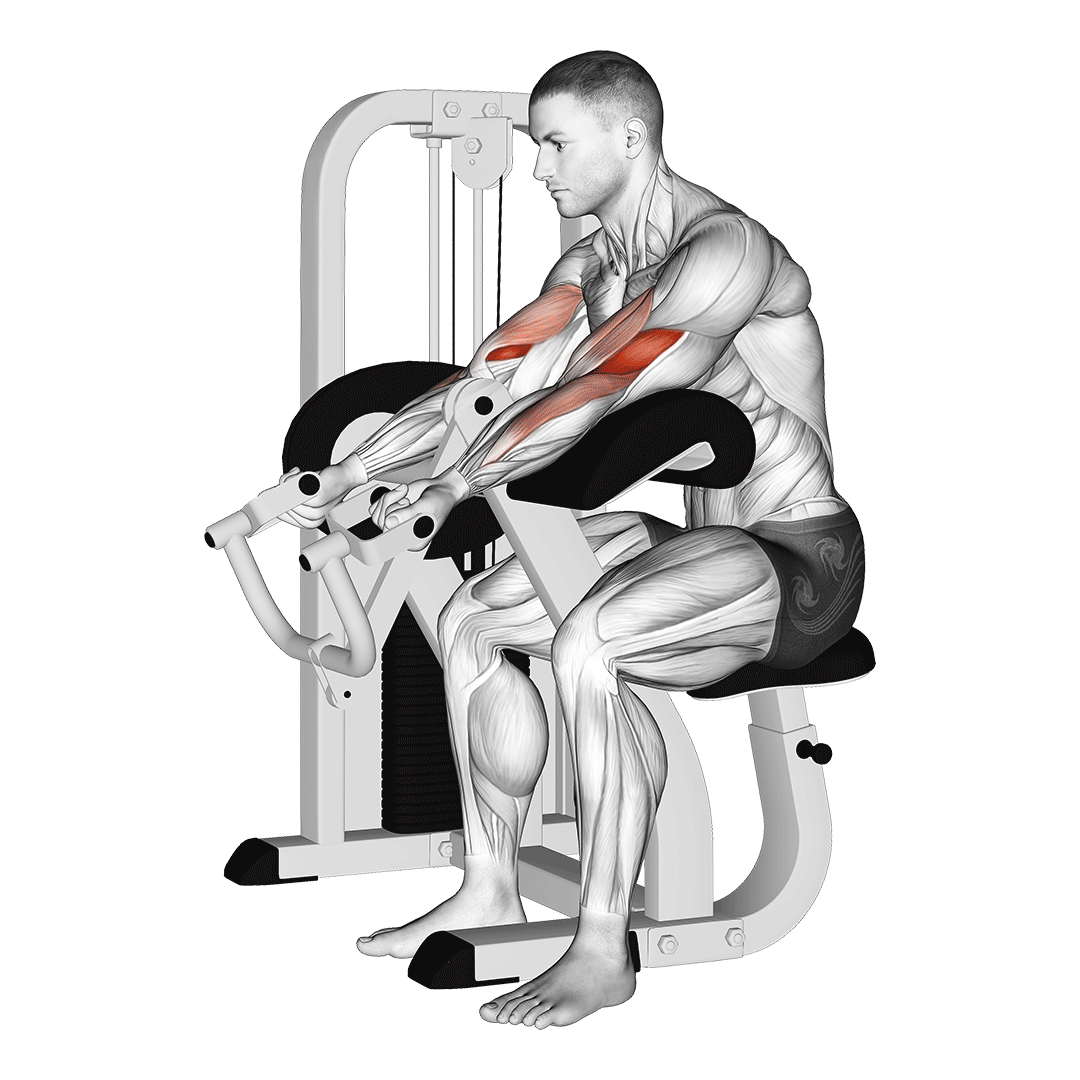 Machine Preacher Curl demonstration