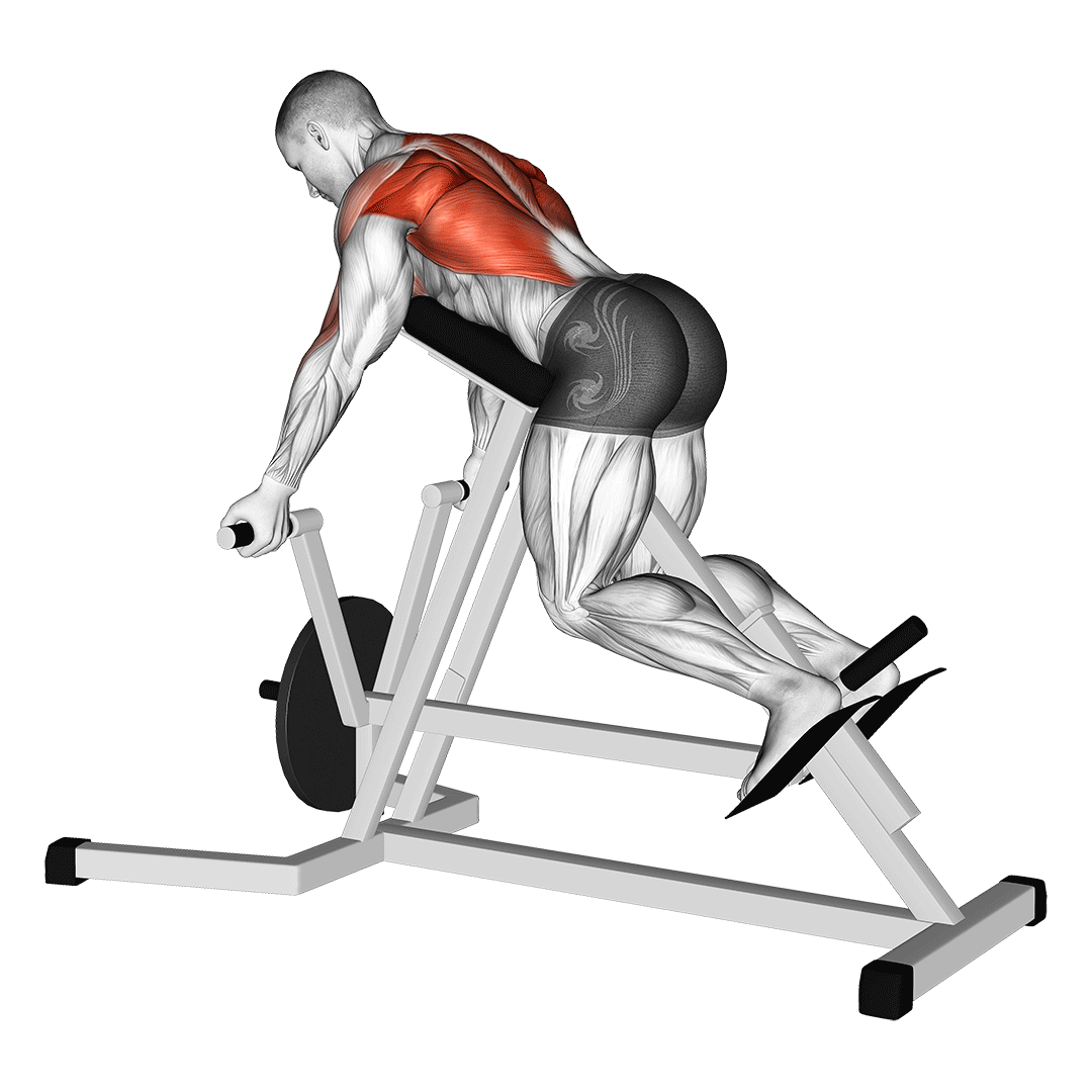 T-Bar Row Machine demonstration