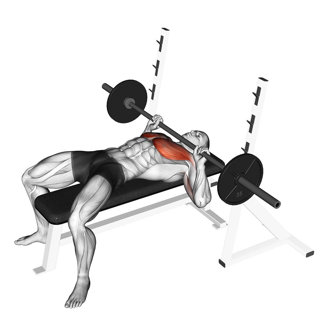 Barbell Guillotine Bench Press demonstration