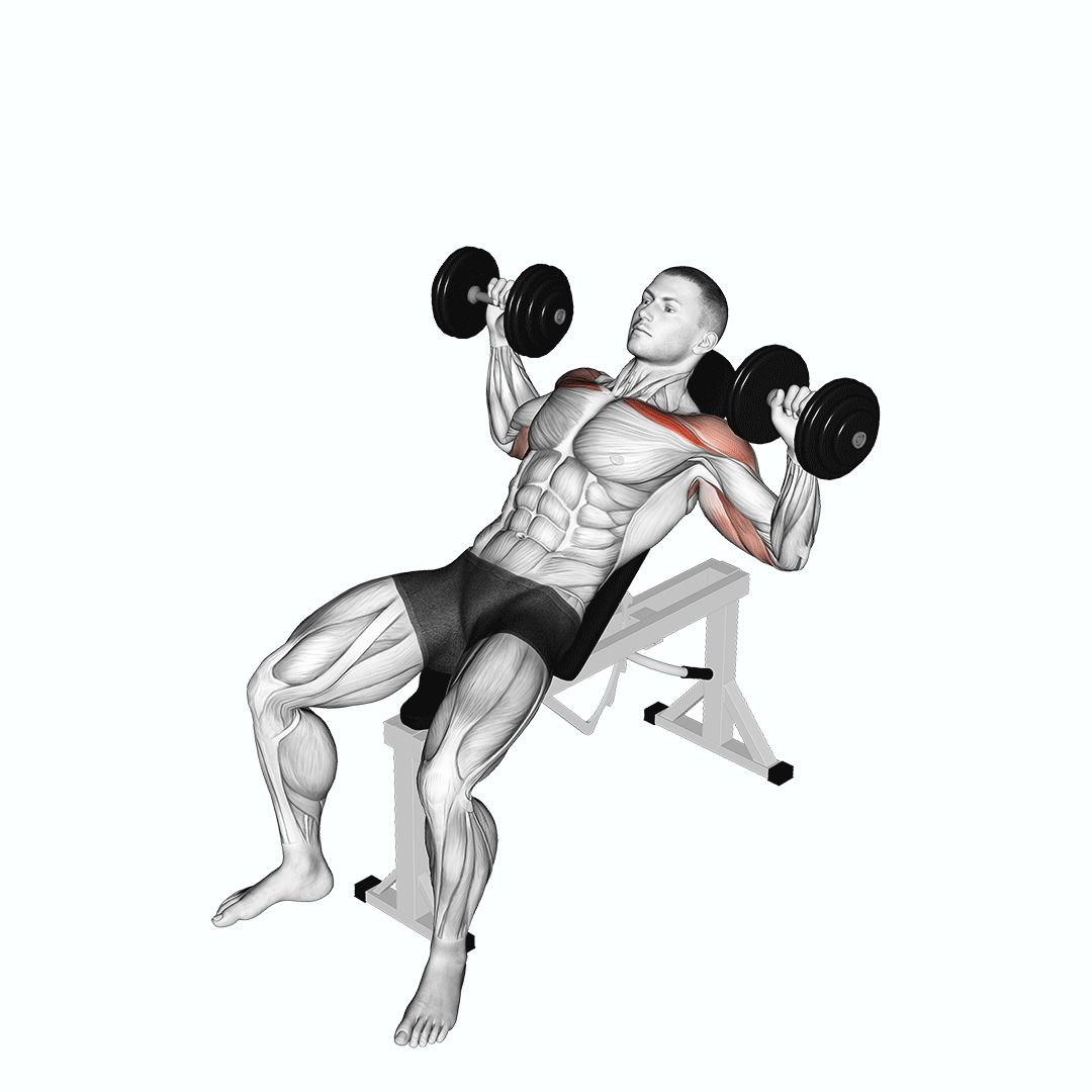 Dumbbell Incline Alternate Press demonstration
