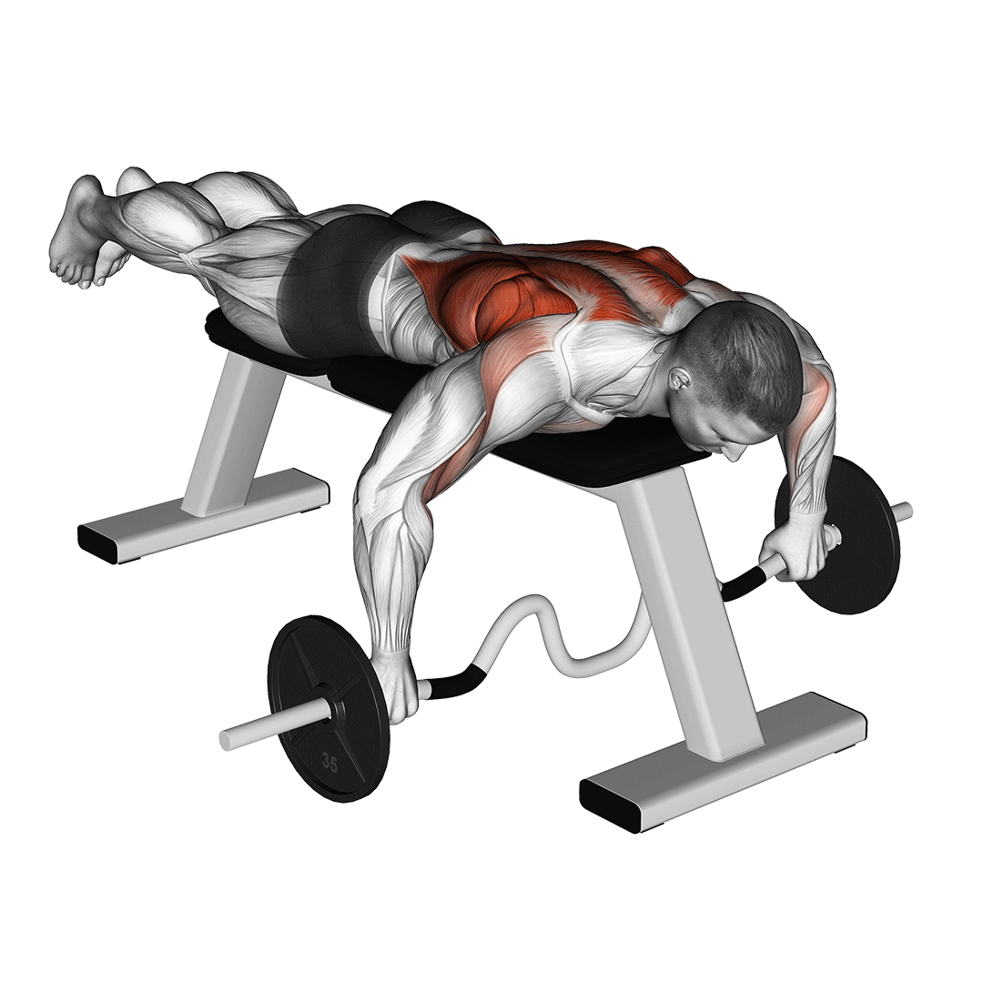 Cambered Bar Lying Row demonstration