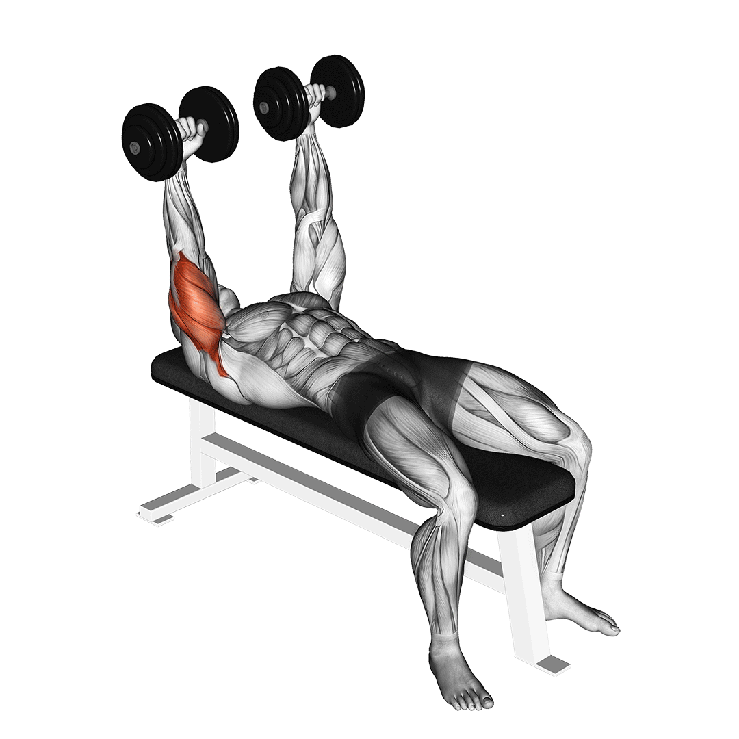 Dumbbell Lying Extension (Across Face) demonstration