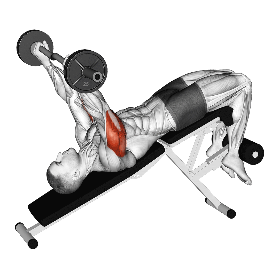 Ez Barbell Decline Triceps Extension demonstration
