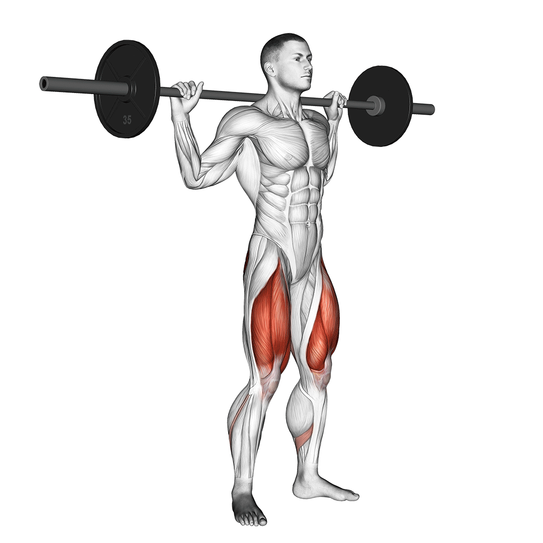 Barbell Full Squat demonstration