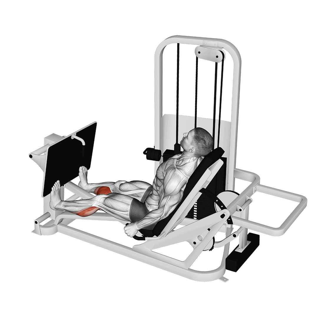 Machine Seated Calf Press demonstration