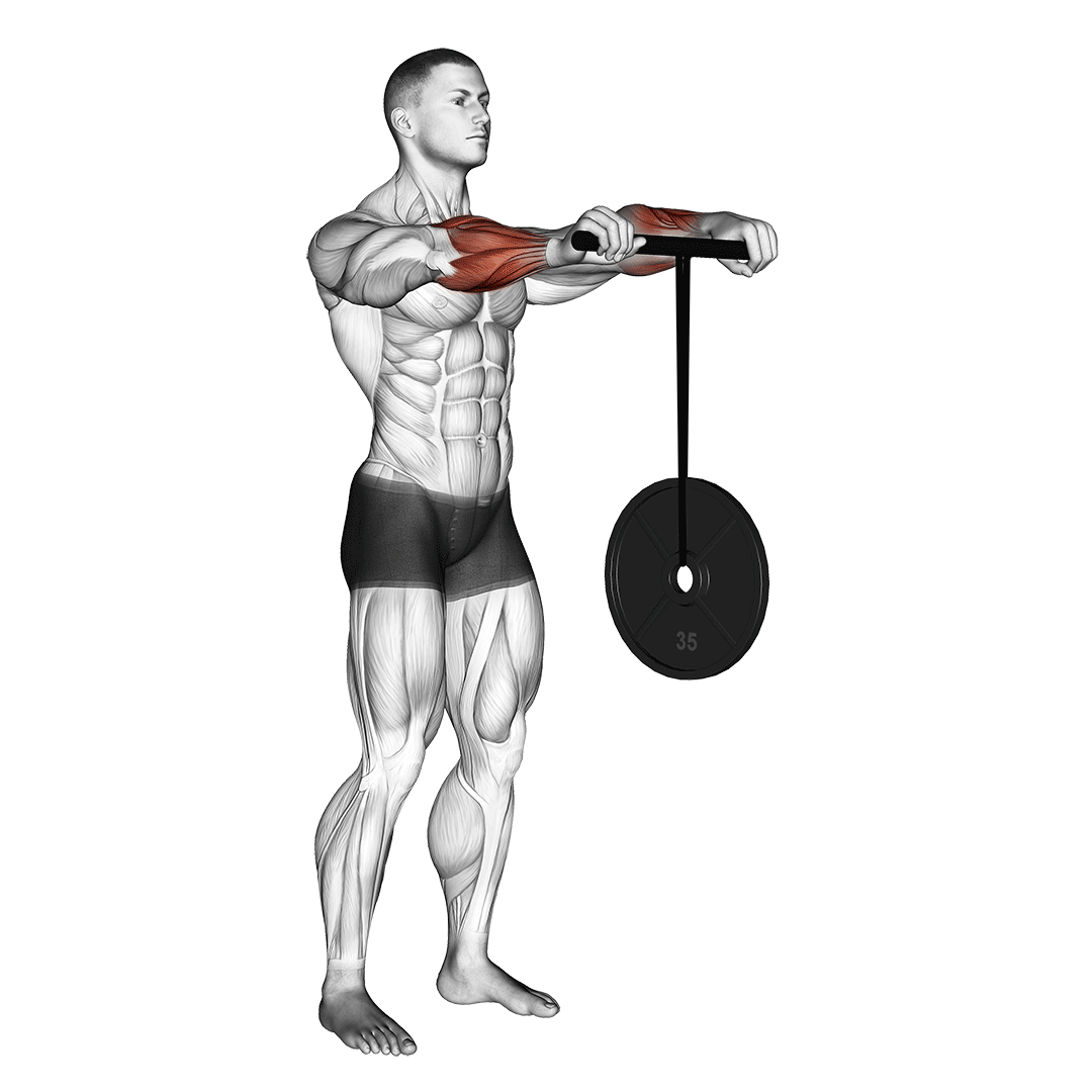 Wrist Roller demonstration