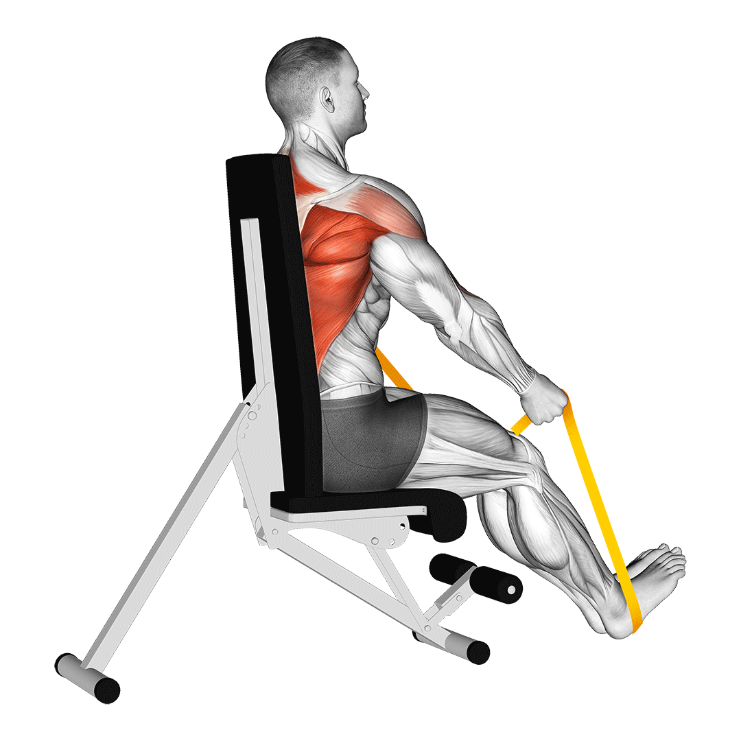 Resistance Band Seated Straight Back Row demonstration