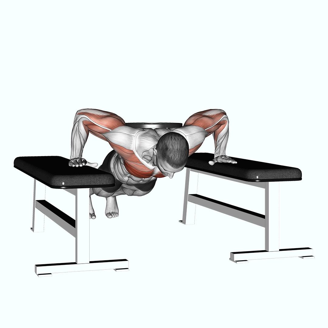 Weighted Drop Push Up demonstration