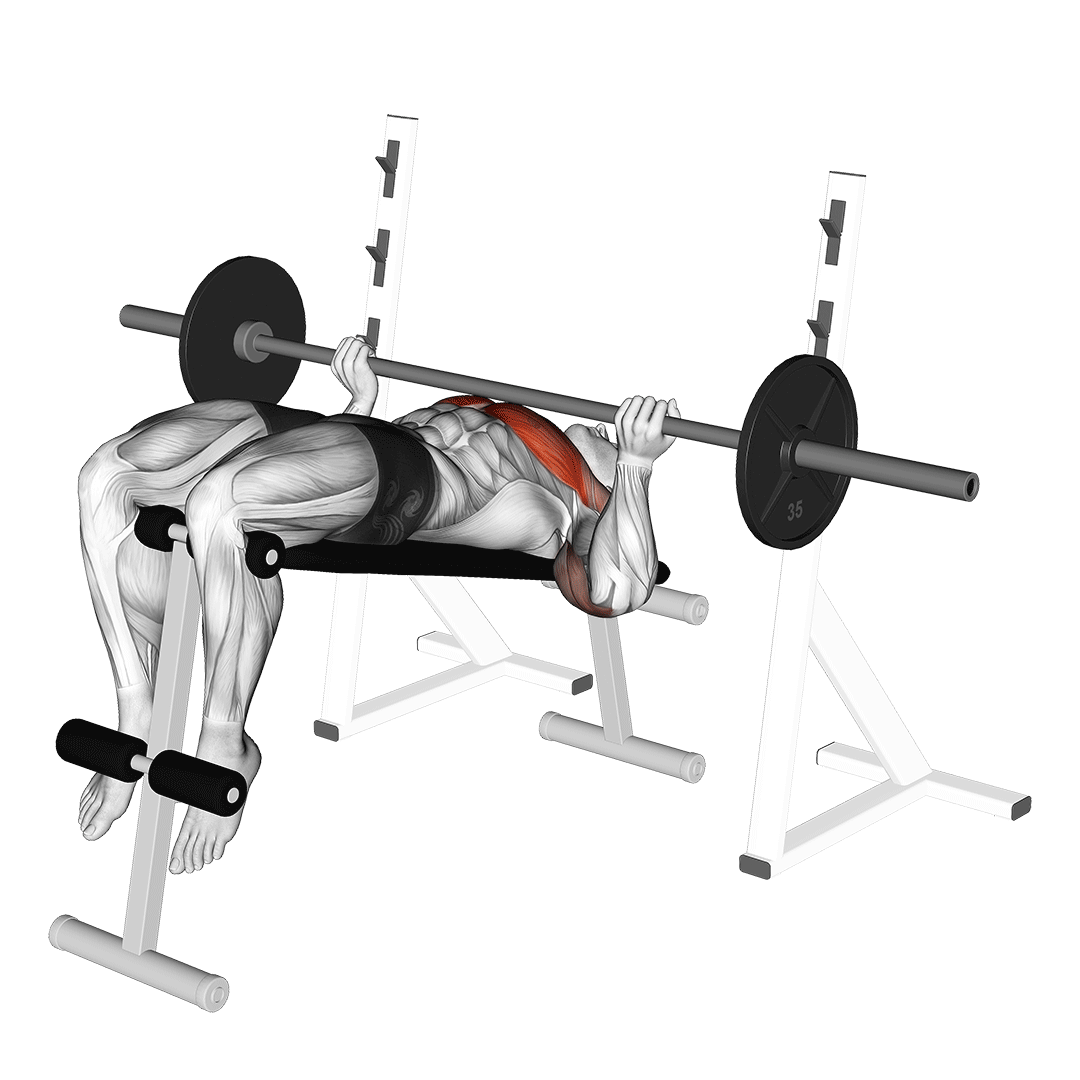 Barbell Reverse Grip Decline Bench Press demonstration