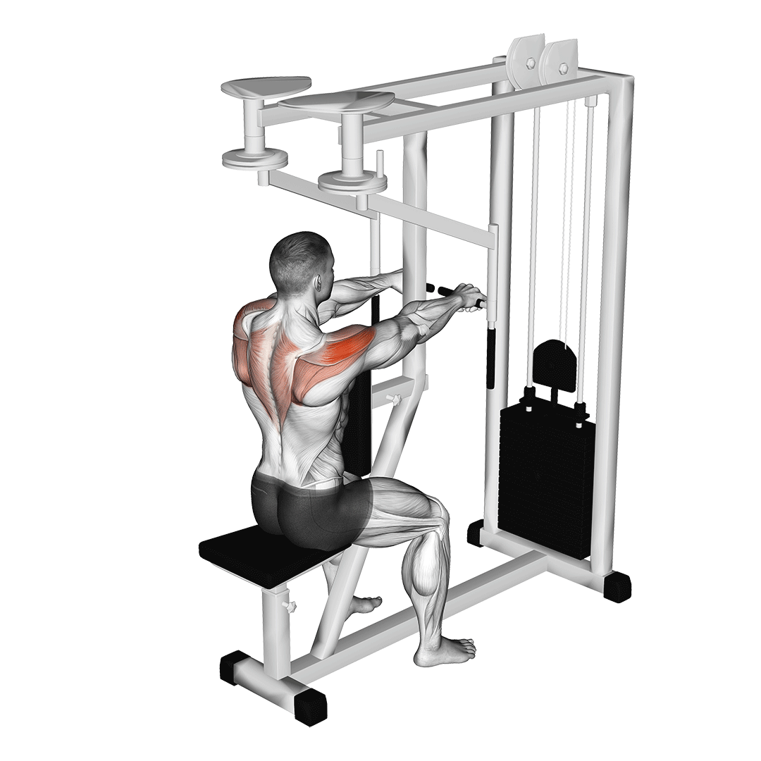 Reverse Fly Machine demonstration