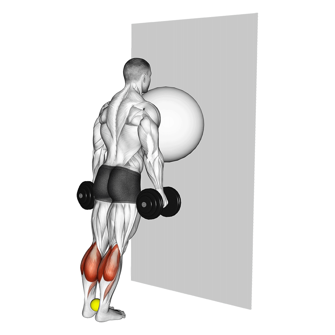 Exercise Ball On The Wall Calf Raise (Tennis Ball Between Ankles) demonstration