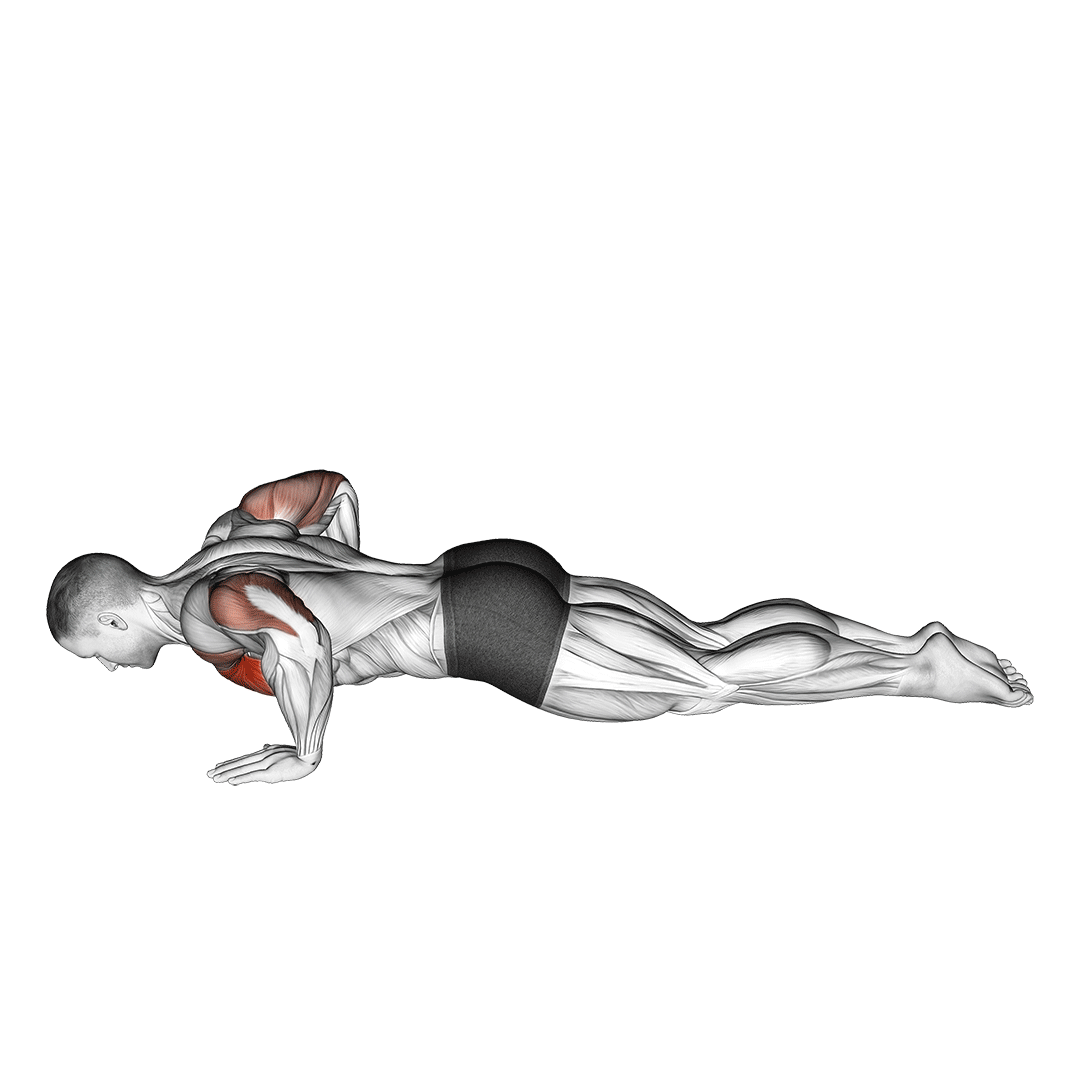 Kneeling Push-Up demonstration