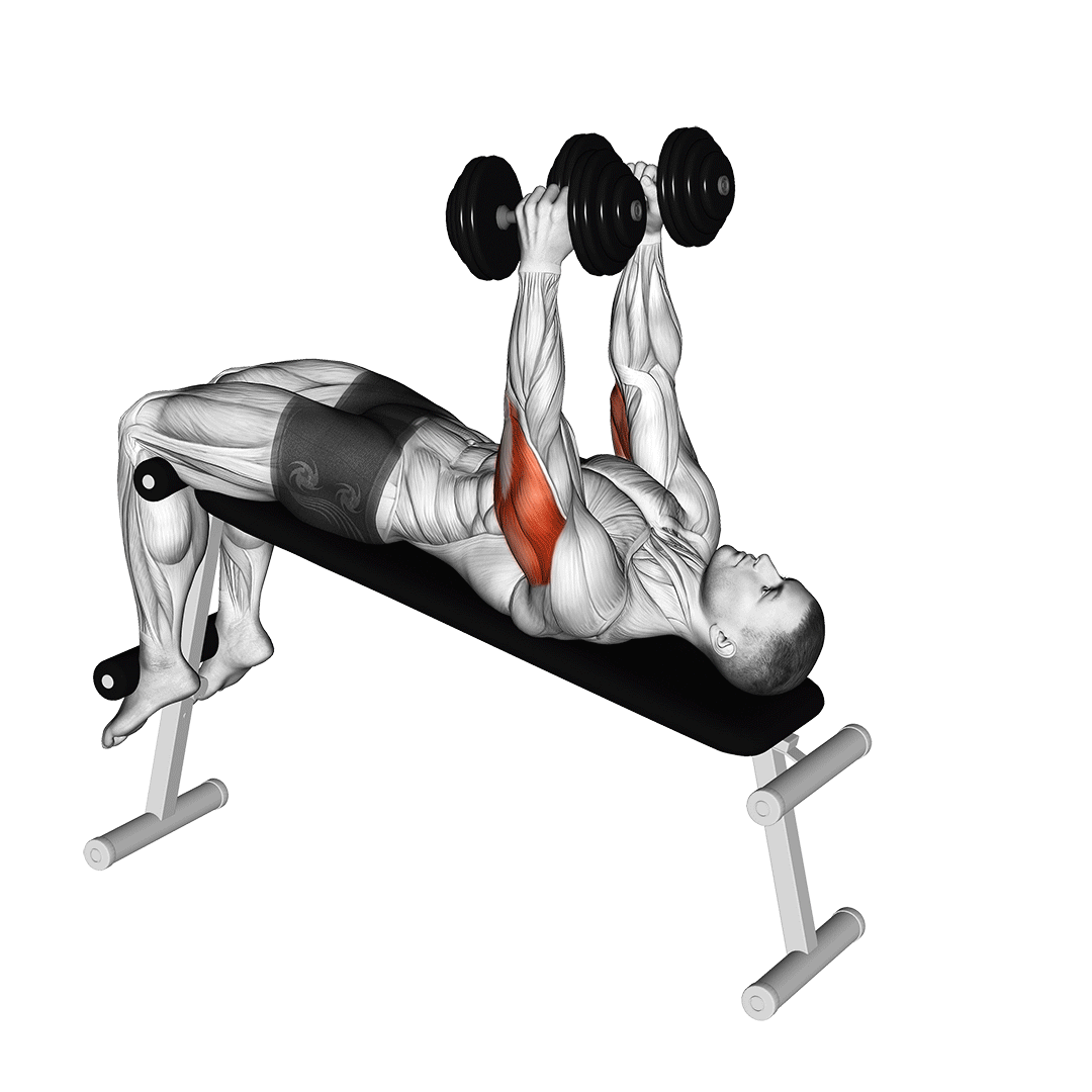 Dumbbell Decline Triceps Extension demonstration