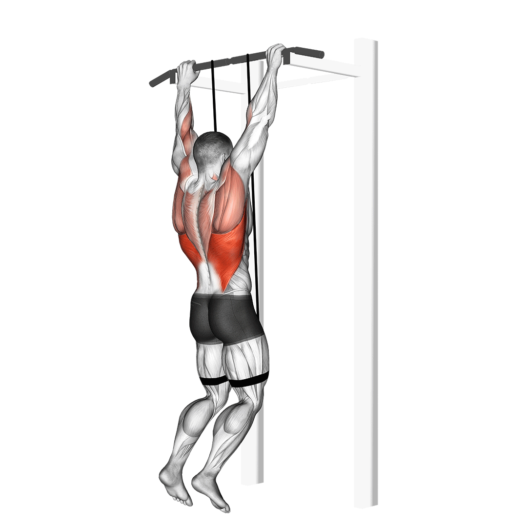 Band Assisted Pull-Up demonstration