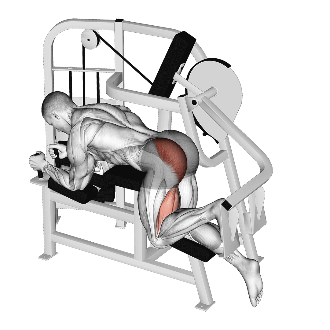 Machine Hip Extension demonstration