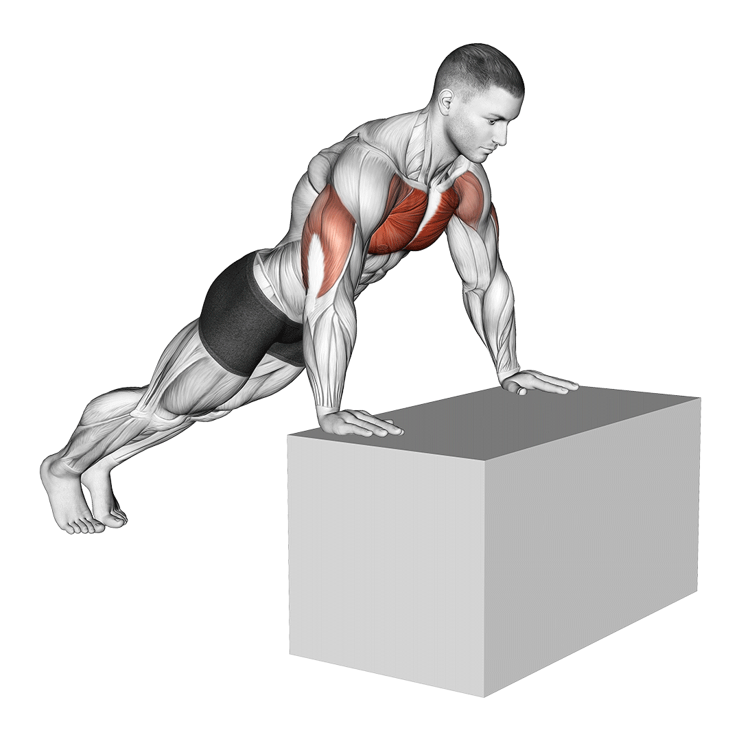 Incline Push-Up (On Box) demonstration