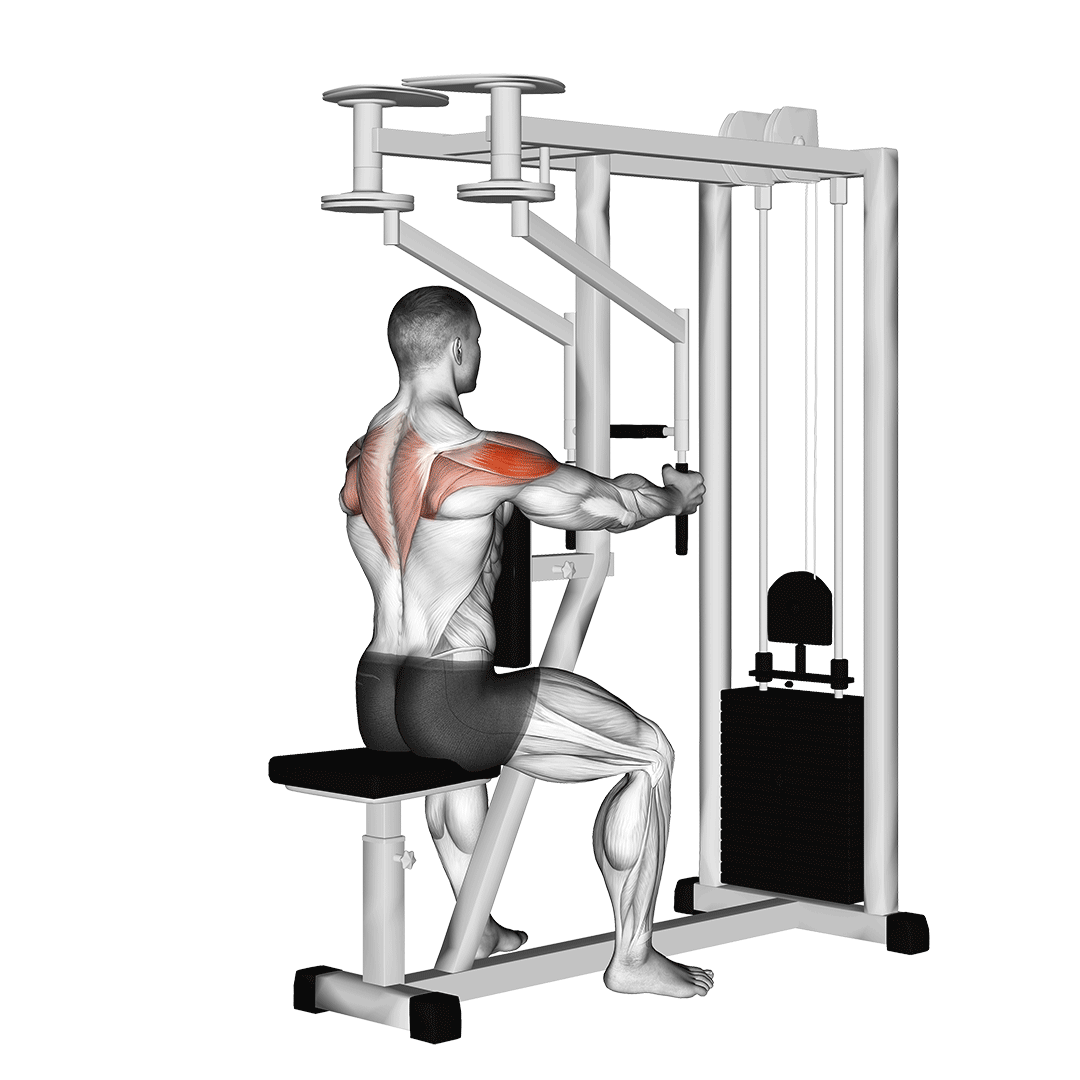 Machine Seated Reverse Fly (Parallel Grip) demonstration