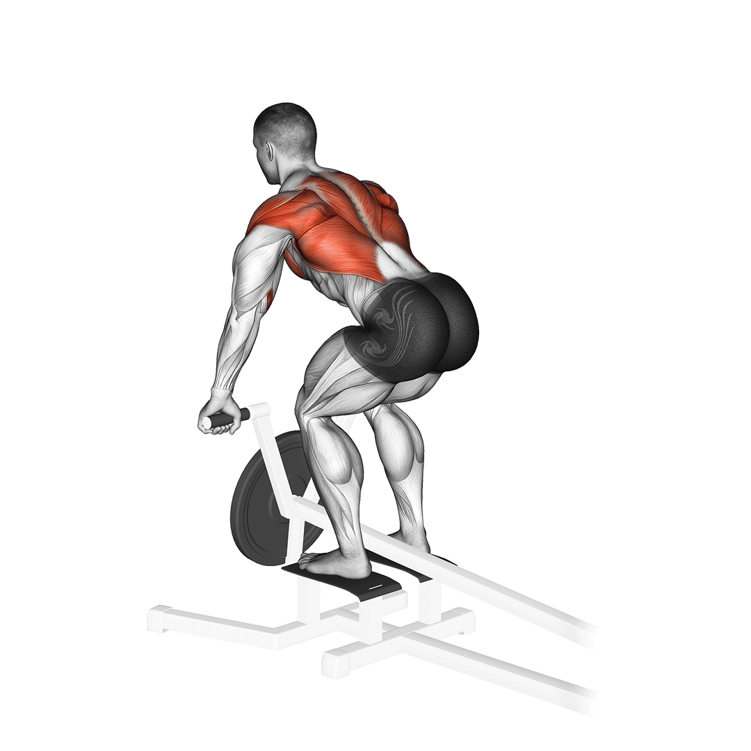 Machine T Bar Row demonstration