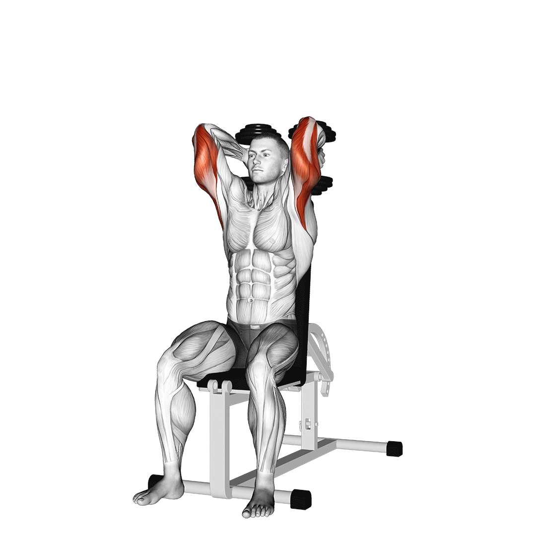 Dumbbells Seated Triceps Extension demonstration