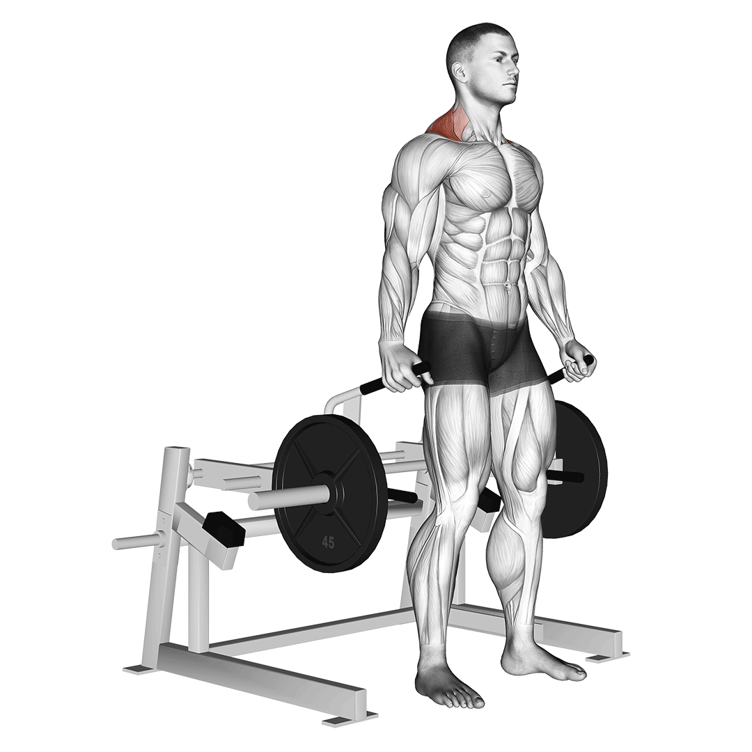 Machine Shrug demonstration
