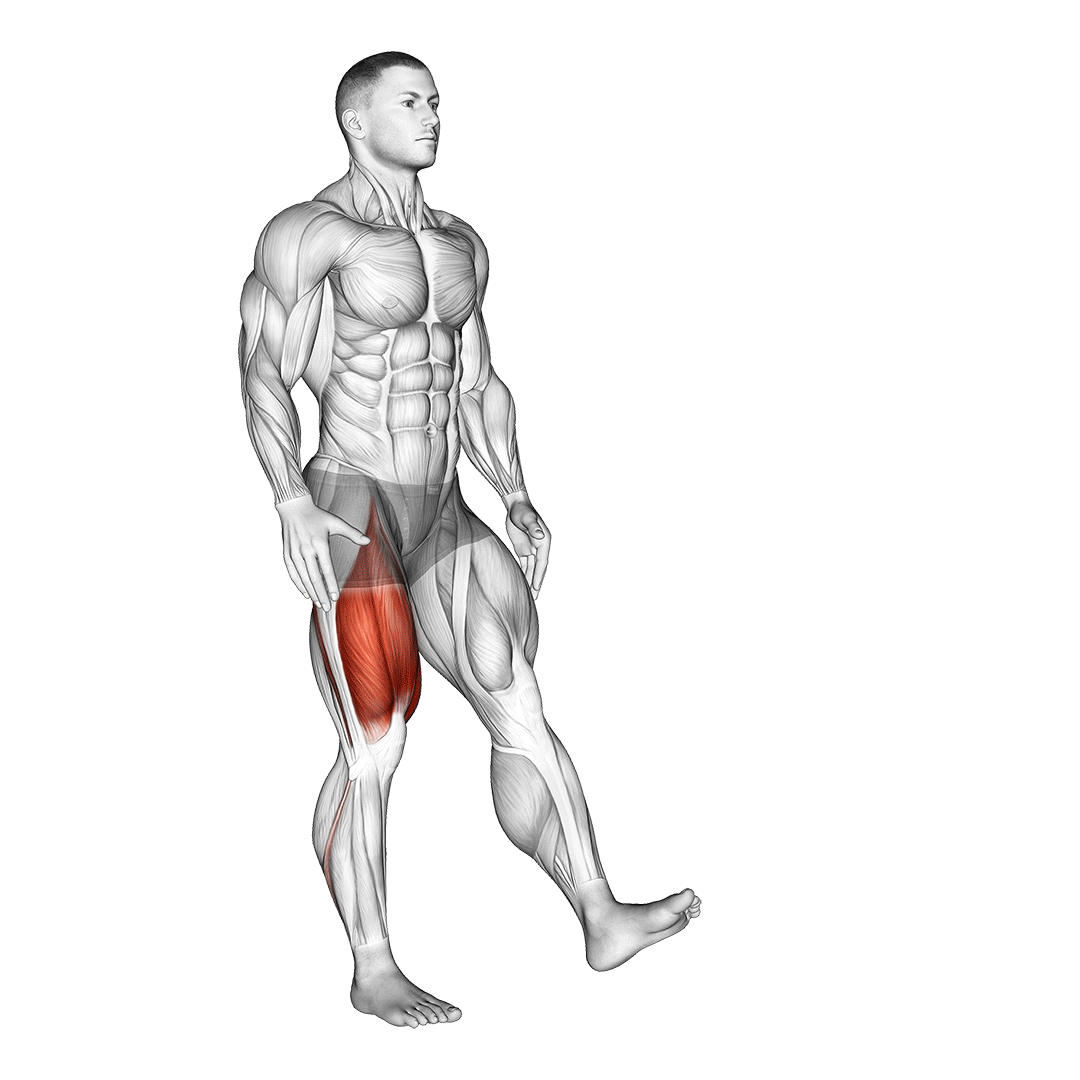 Single Leg Squat (Pistol) Male demonstration