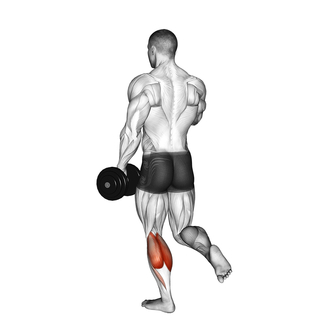 Dumbbell Single Leg Calf Raise demonstration