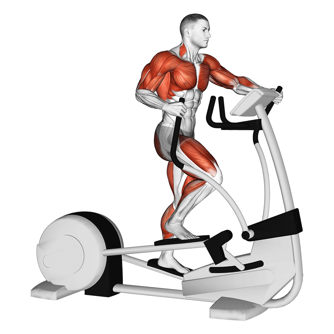 Elliptical Machine demonstration