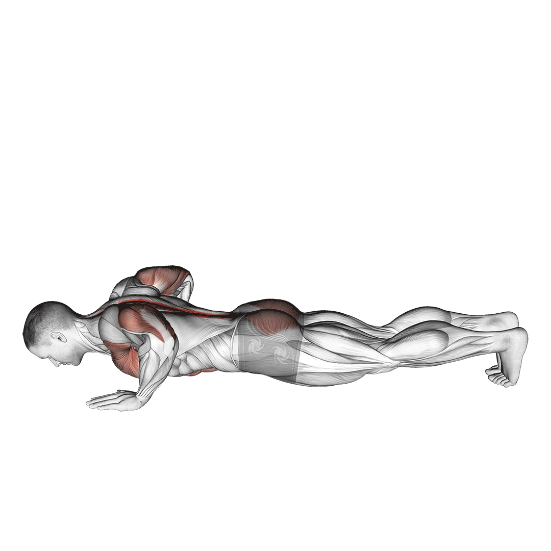 Upward Facing Dog demonstration