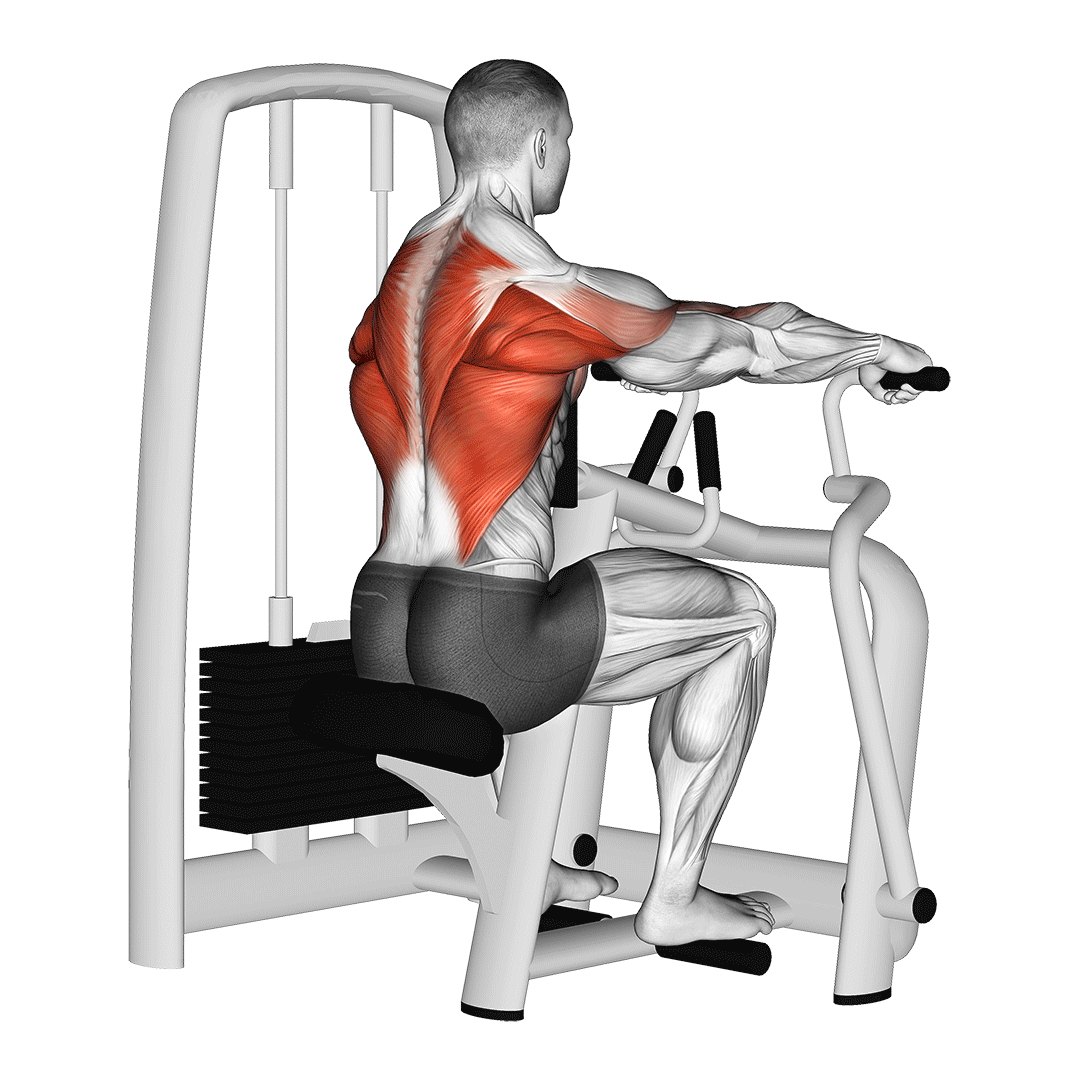 Seated Row Machine demonstration