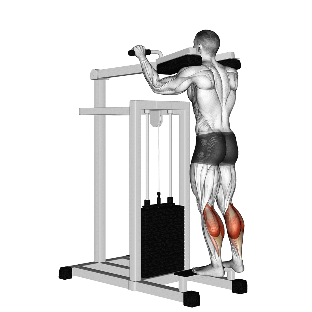 Machine Standing Calf Raise demonstration