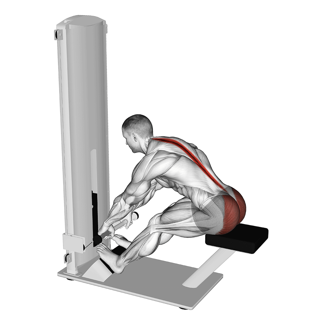 Machine Seated Good Morning demonstration