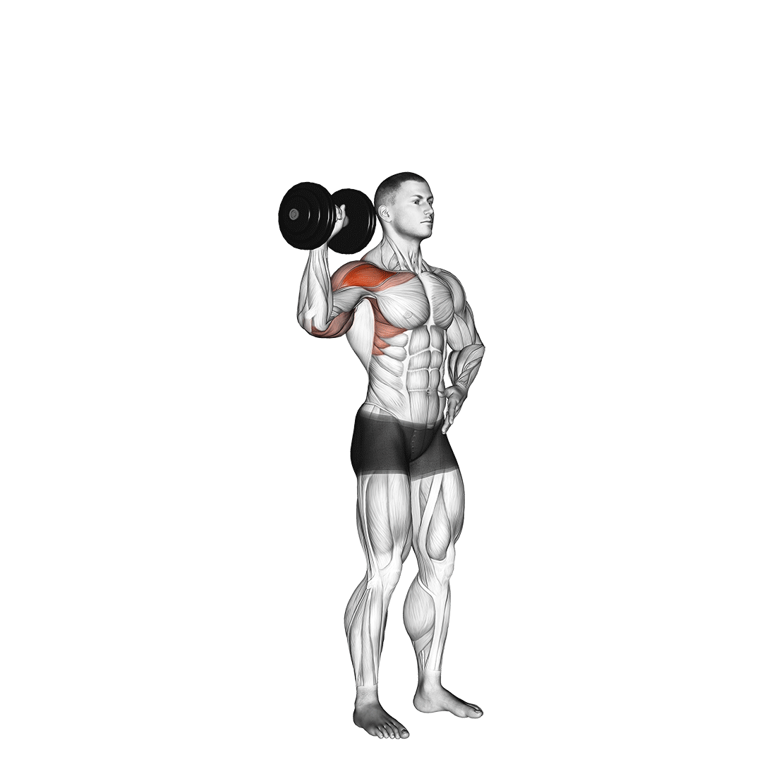 Dumbbell One Arm Shoulder Press demonstration