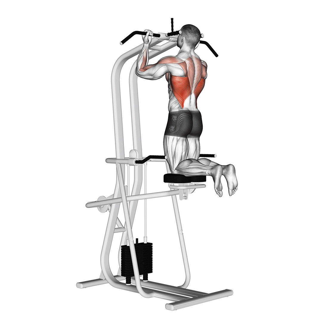 Machine Assisted Chin-Up demonstration