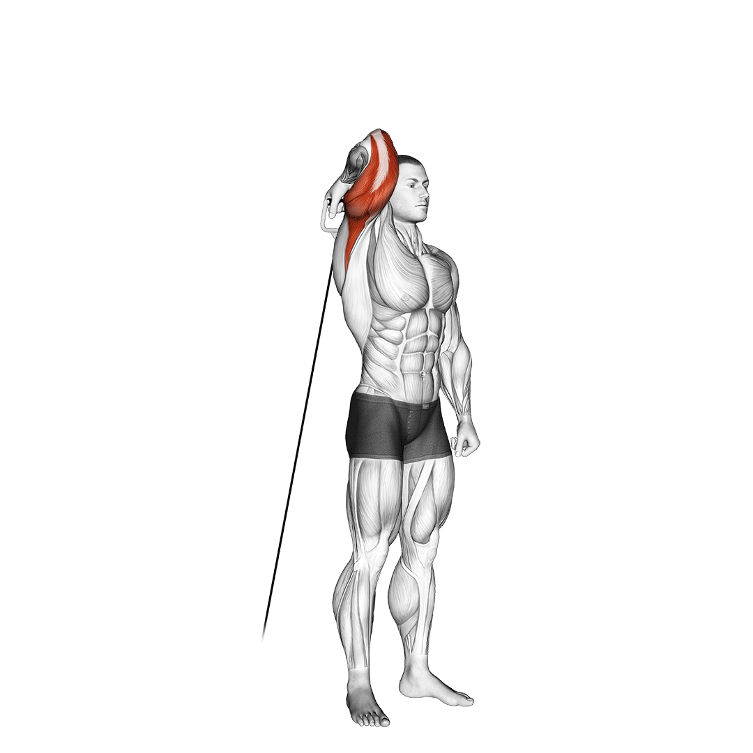 Cable Standing Reverse Grip One Arm Overhead Tricep Extension demonstration