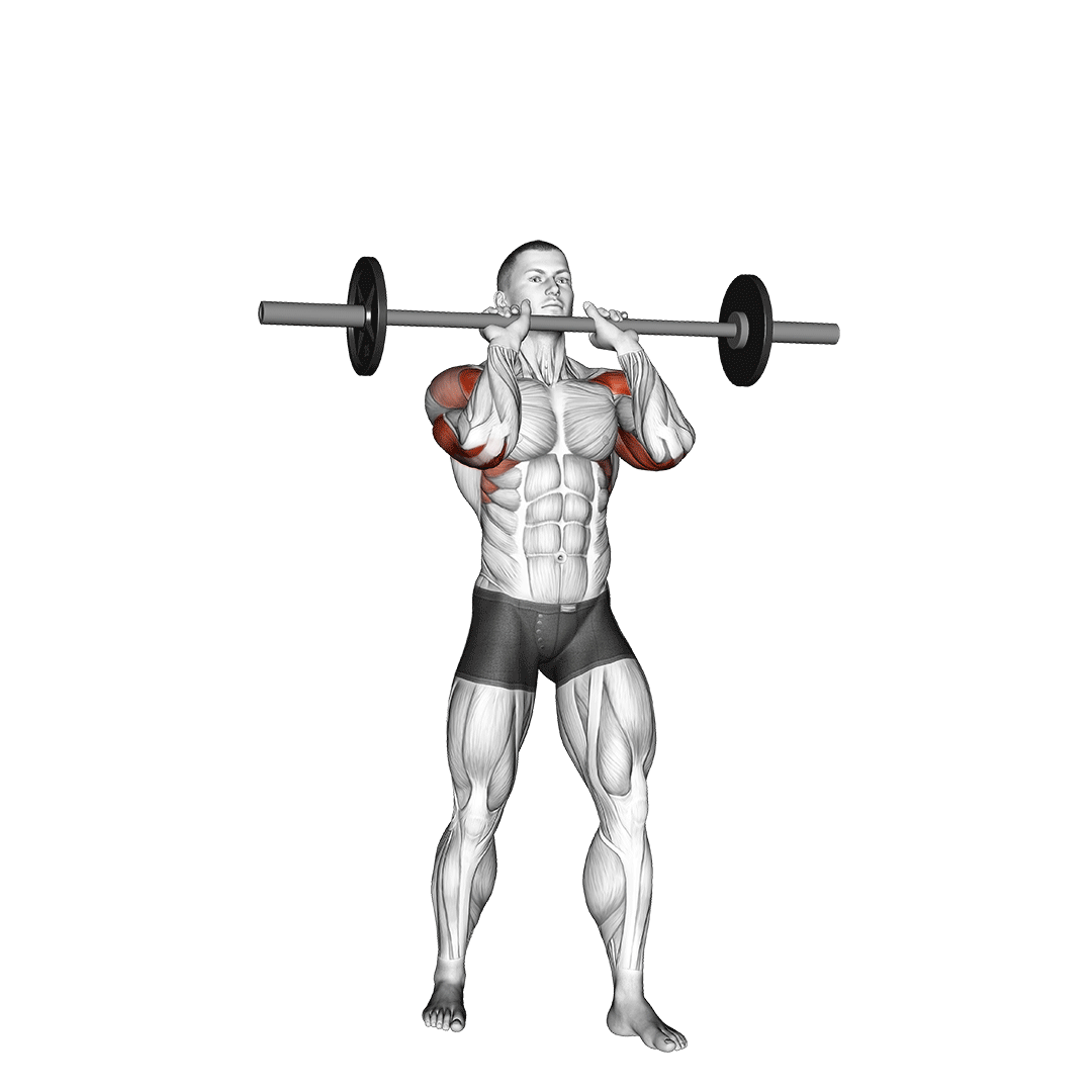 Overhead Press (Barbell) demonstration