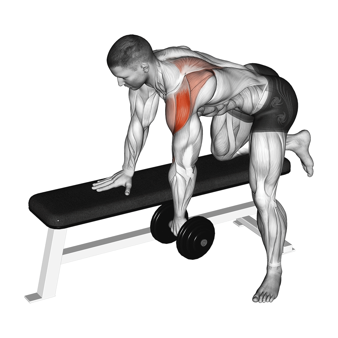 Dumbbell Rear Delt Row (Shoulder) demonstration