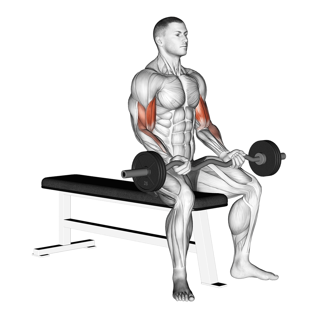 Kipping Pull Up demonstration