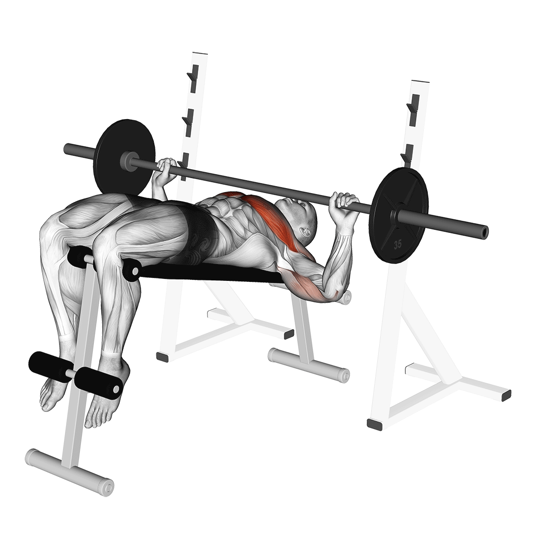 Barbell Decline Wide-Grip Press demonstration