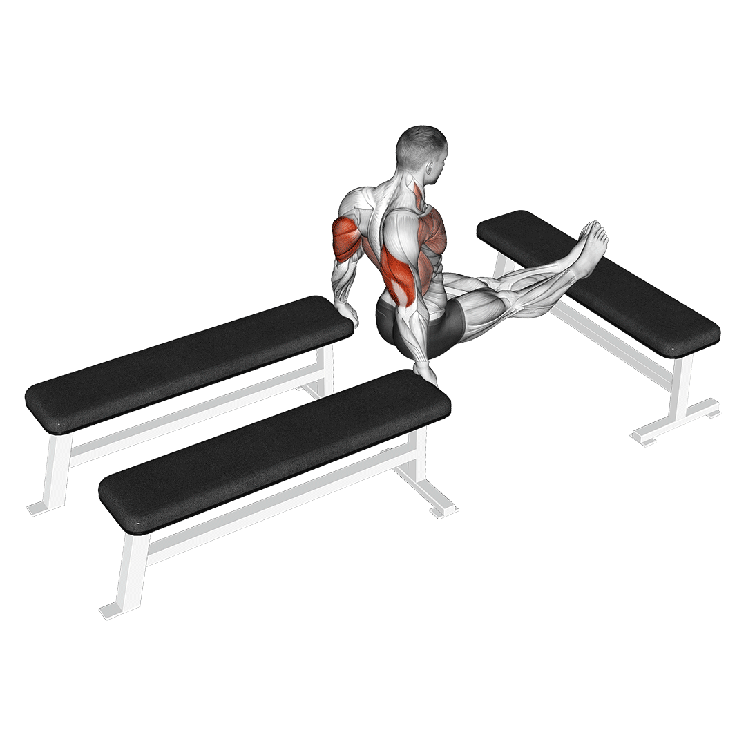 Three Bench Dip demonstration